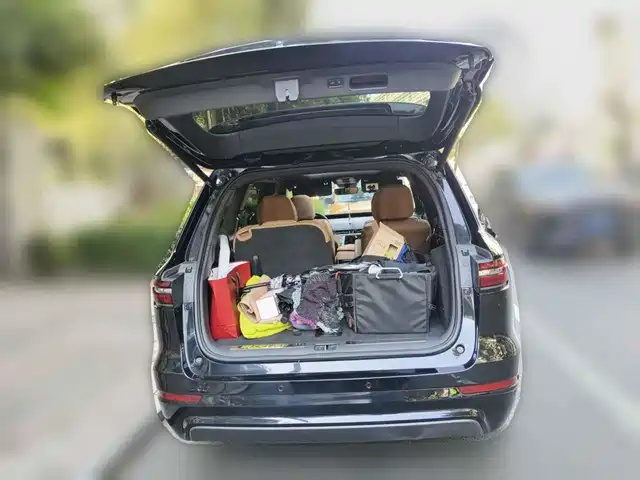 Li Auto Li ONE 2020 Extended Range 6-seater — фото 5