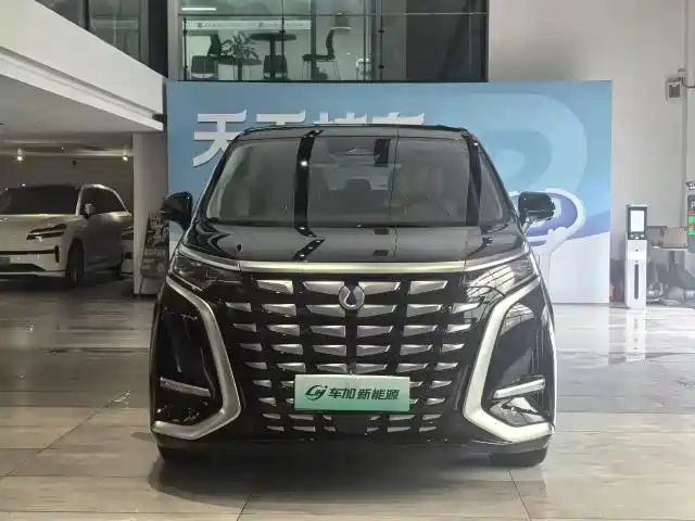 Denza D9 2024 DM-i 1050 Premium фото 2