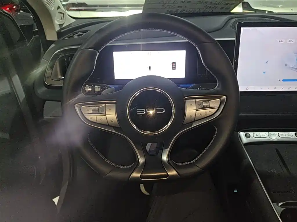 BYD Hai Shi 05 EV 2025 520KM Flagship Smart Navigation Edition фото 11