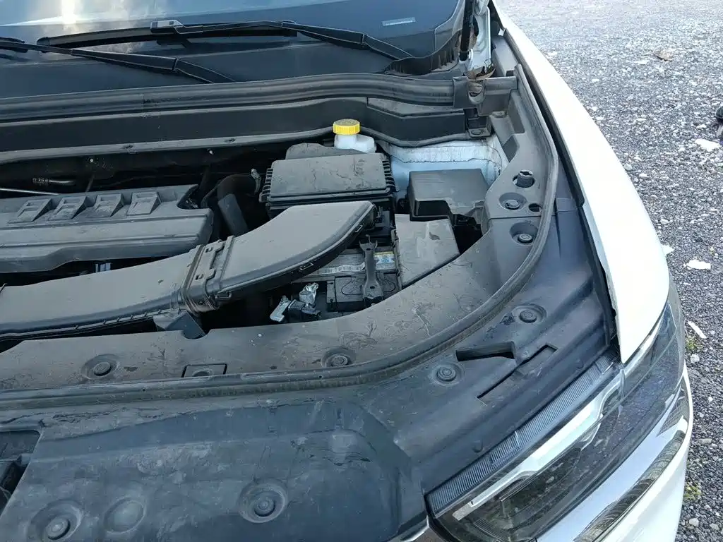 Haval H6 2025 2023 National Trend Edition 1.5T Automatic Urban