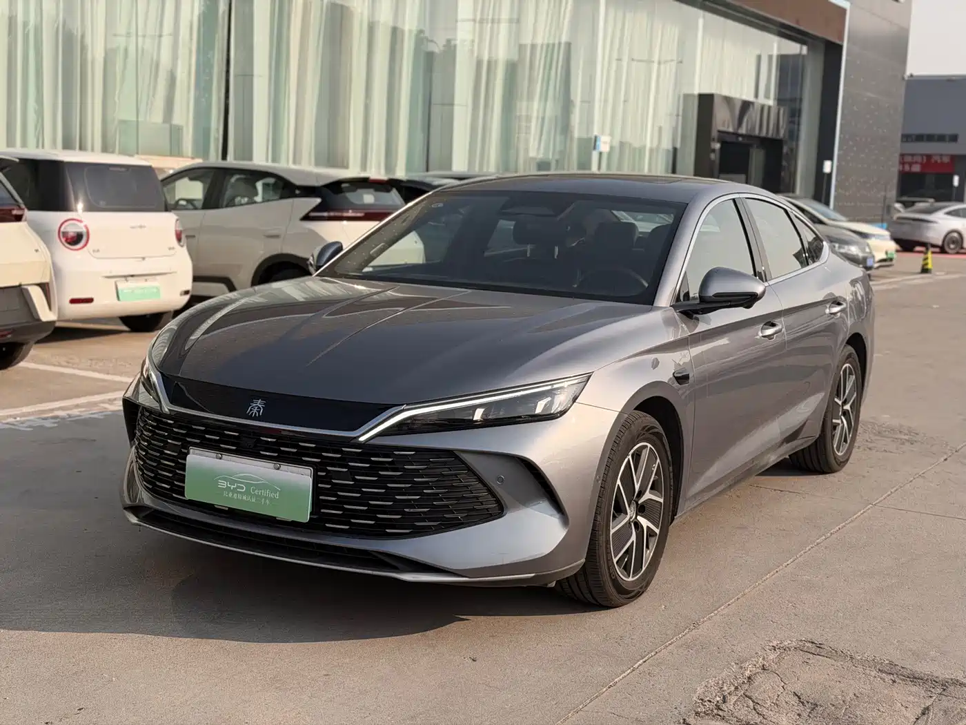 BYD Qin L 2025 — пригон из Китая
