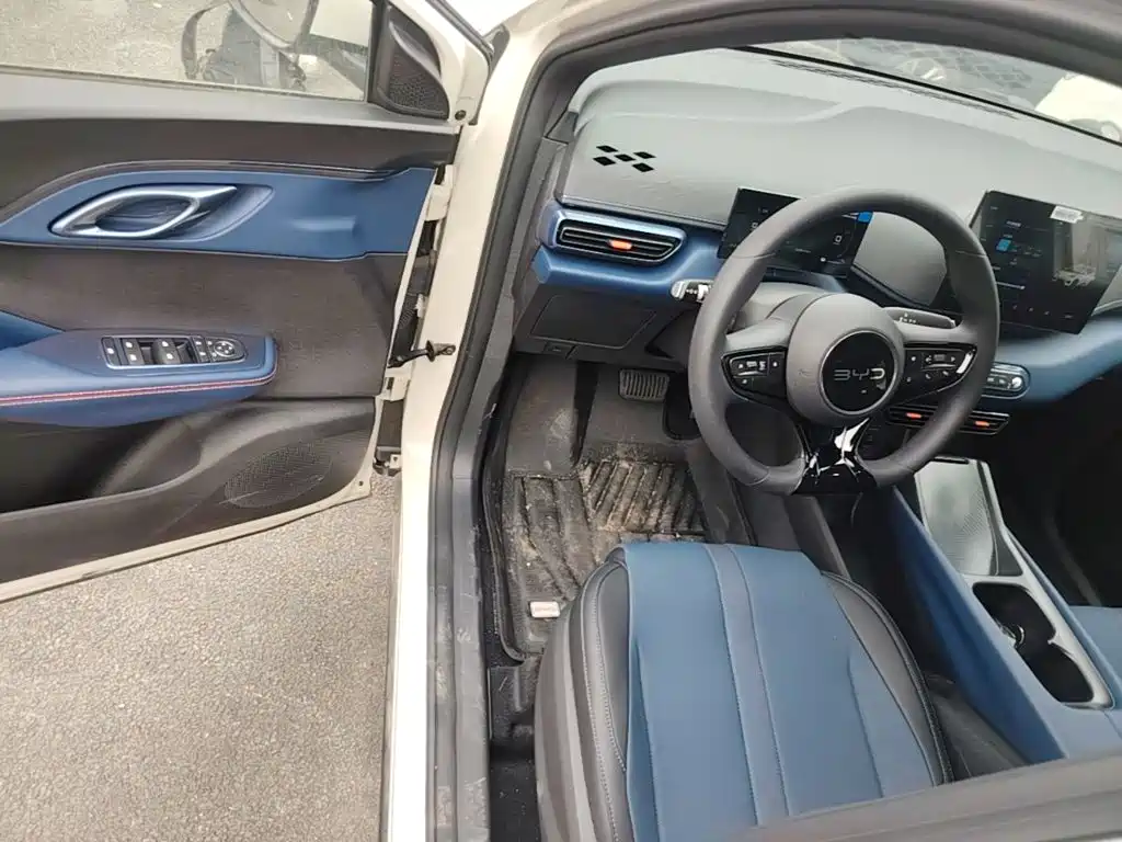 BYD Seagull 2026 2025 Smart Drive Edition 305km Vitality Version