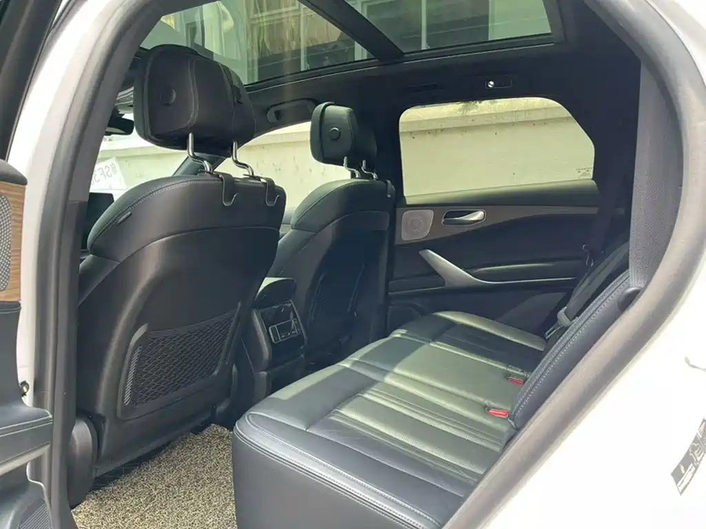 Denza X 2021 2020 Model PHEV Flagship Edition