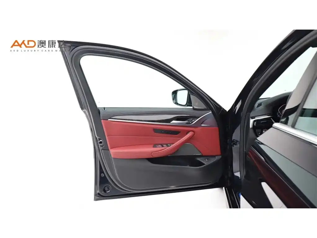 BMW 5 Series 2020 530Li Exclusive M Sport Package фото 10