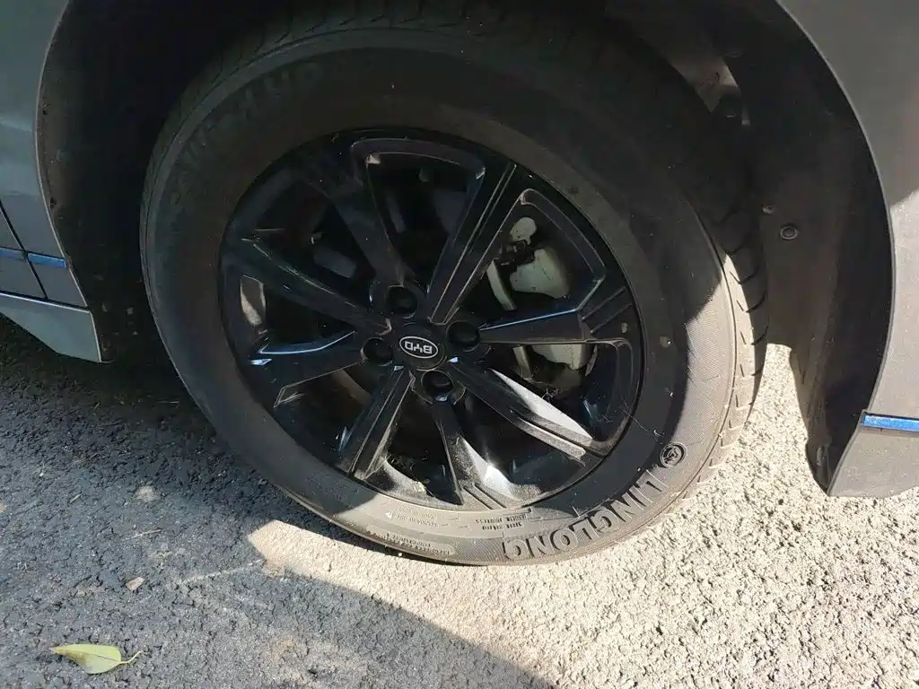 BYD e2 2022 2021 Luxury Edition