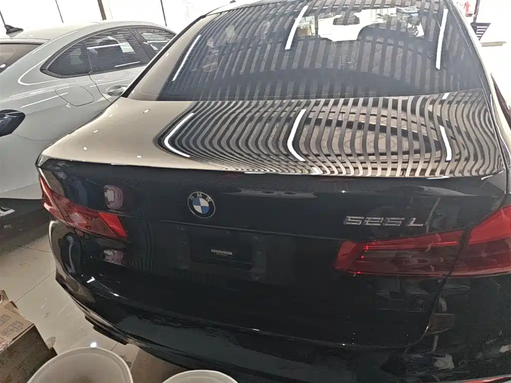 BMW 5 Series 2019 525Li M Sport Package фото 6