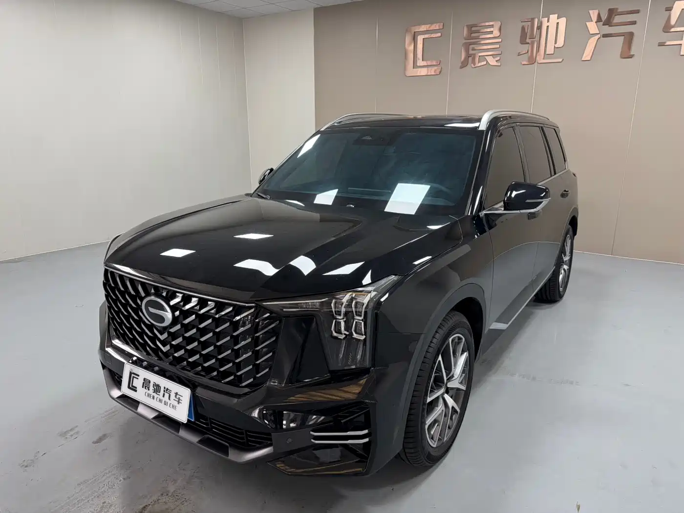GAC Trumpchi GS8 2025 Pilot Series 2.0TGDI 2WD Luxury Edition 5-seater