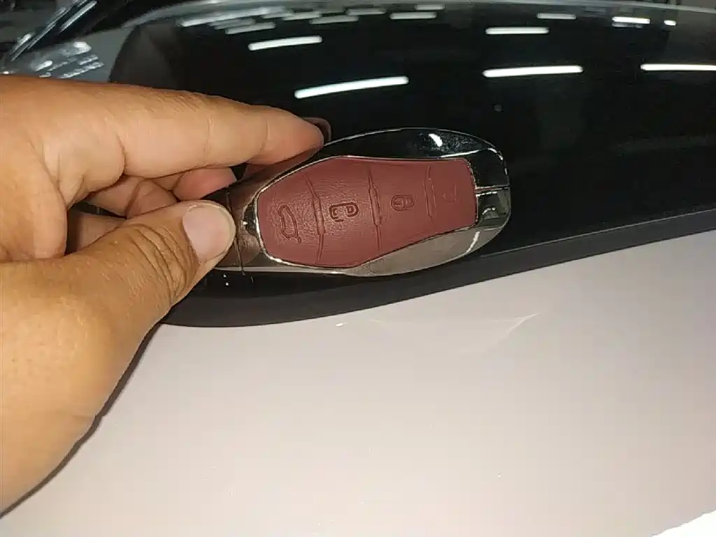 Hongqi HS3 PHEV 2024 PHEV 115km Power Edition фото 9