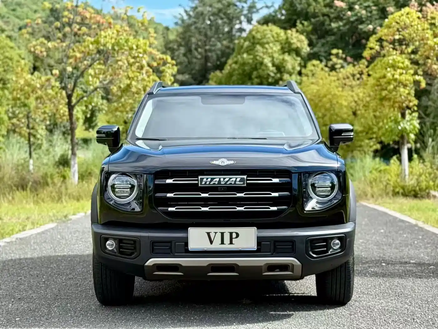 Фото 2 - Haval Dargo