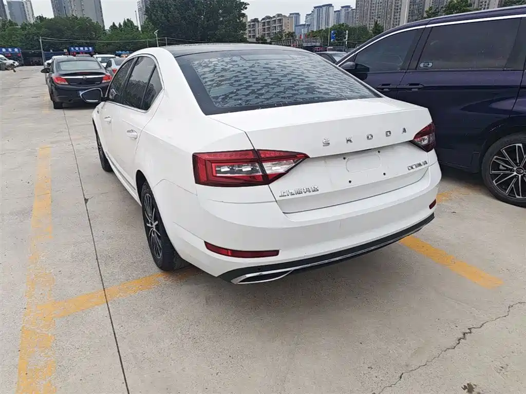 Škoda Octavia 2019 1.5L Automatic Smart Luxury China VI фото 5