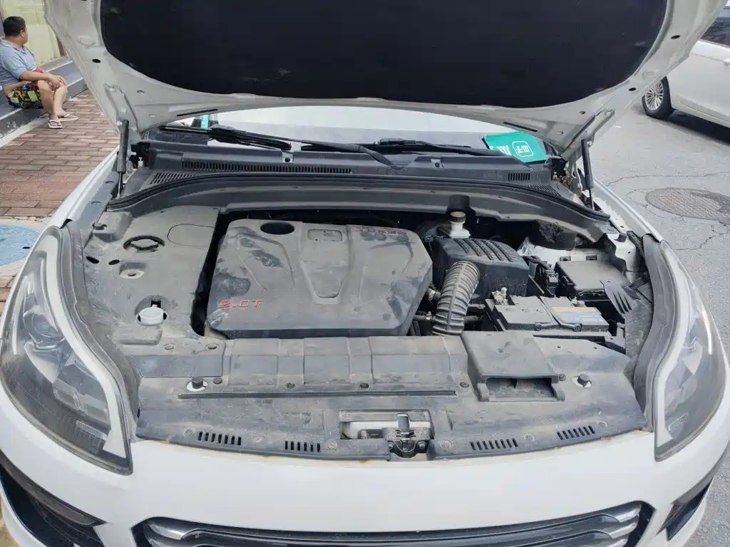 Zotye SR9 2017 2017 2.0T Auto Ultimate Heart Edition