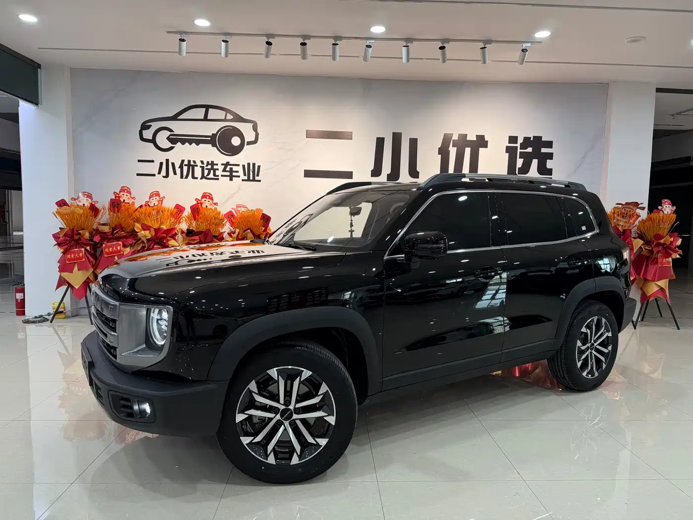 Haval Big Dog 2025 2024 1.5T DCT Border Collie Edition