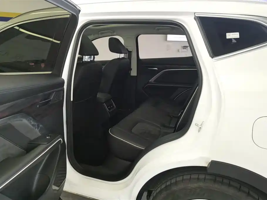 Haval H6 2023 National Trend Edition 1.5T Automatic Champion фото 11