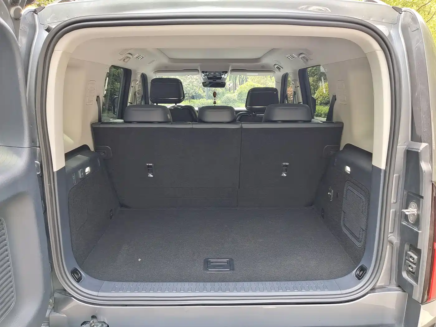 FANG CHENG BAO LEOPARD 5