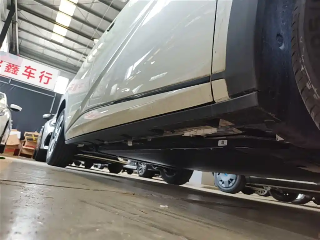 BYD Dolphin 2026 2025 420km Freedom Edition