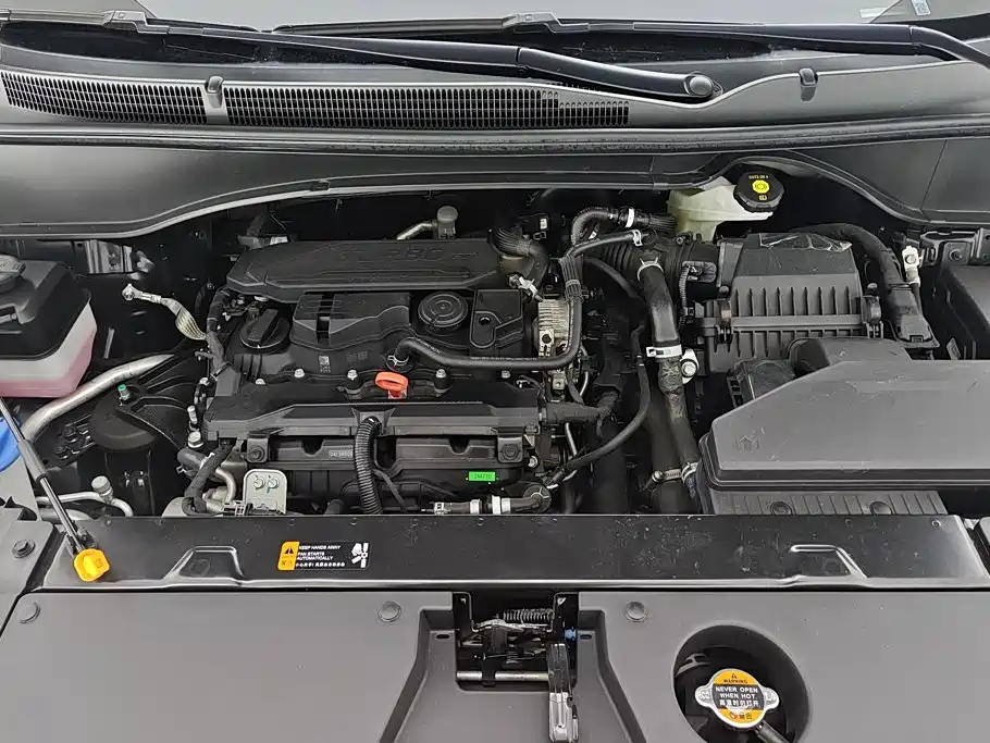 Hyundai Kustu 2025 2024 270TGDi LUX Premium Edition