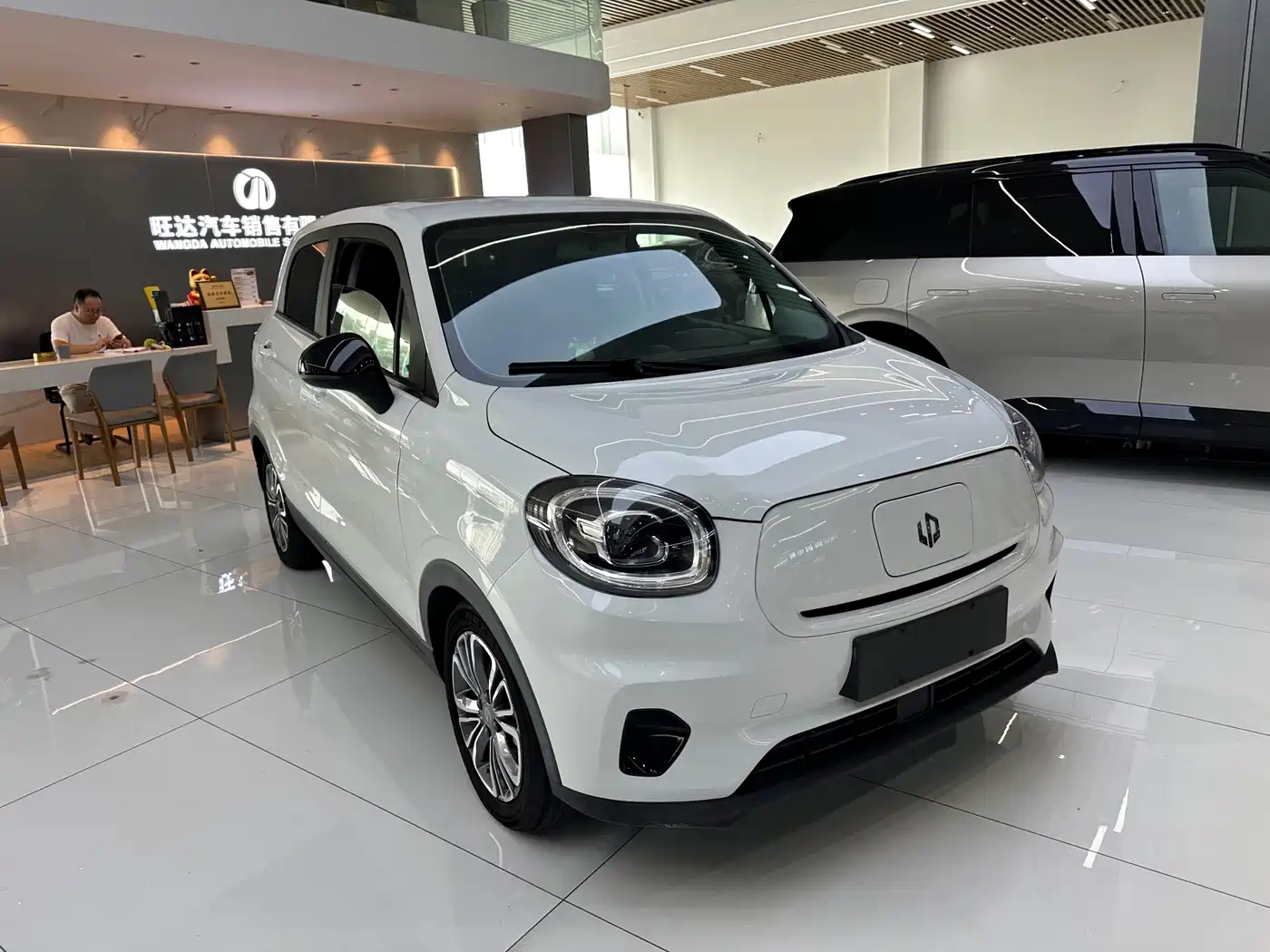 Leapmotor T03 2021 2021 400 Ride-hailing Edition