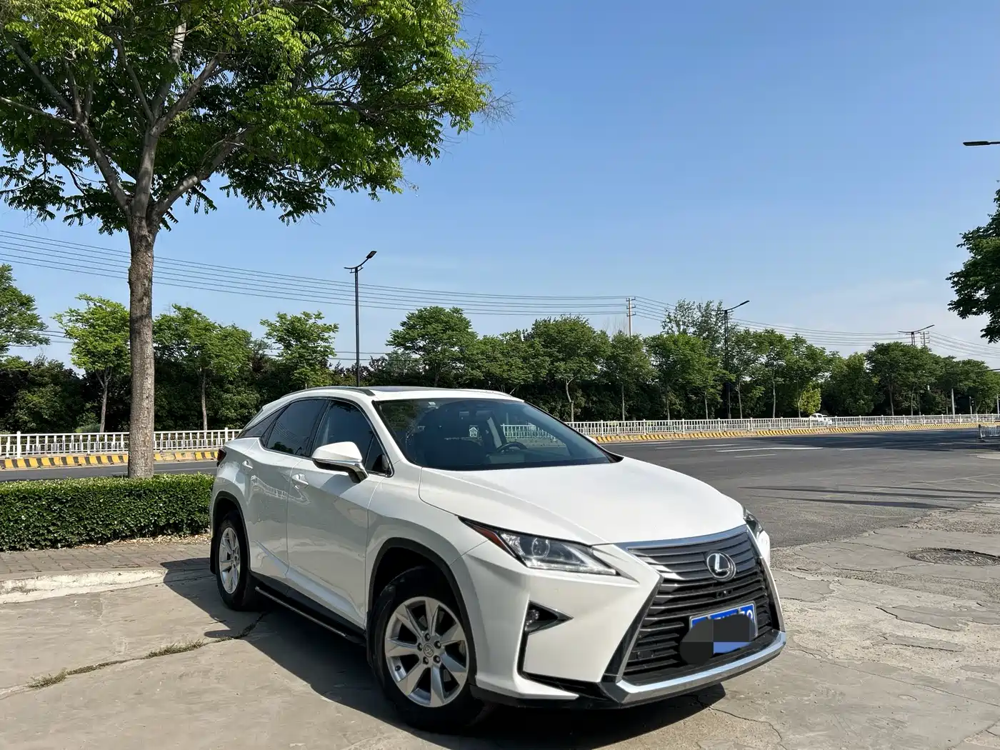 LEXUS RX