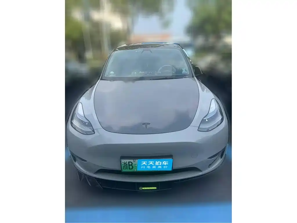 Tesla Model Y 2022 Performance High-Performance All-Wheel Drive Version