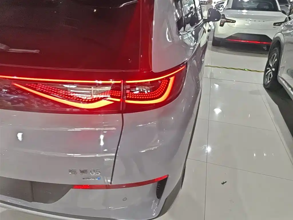 BYD Hai Shi 05 EV 2025 520KM Flagship Smart Navigation Edition фото 8