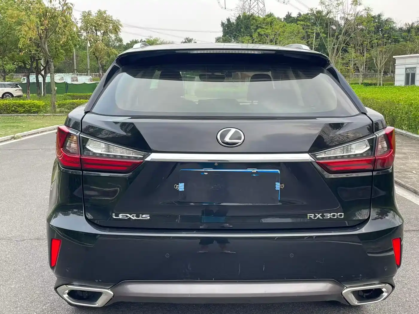 Lexus RX 2016 300 2WD Comfort Edition China V фото 8