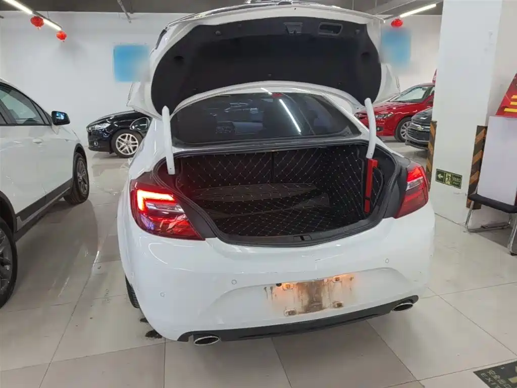 Buick Regal 2015 1.6T Leading Tech Edition фото 19