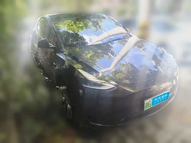 Tesla Model Y 2022 Facelift Rear-Wheel Drive Version — фото 3