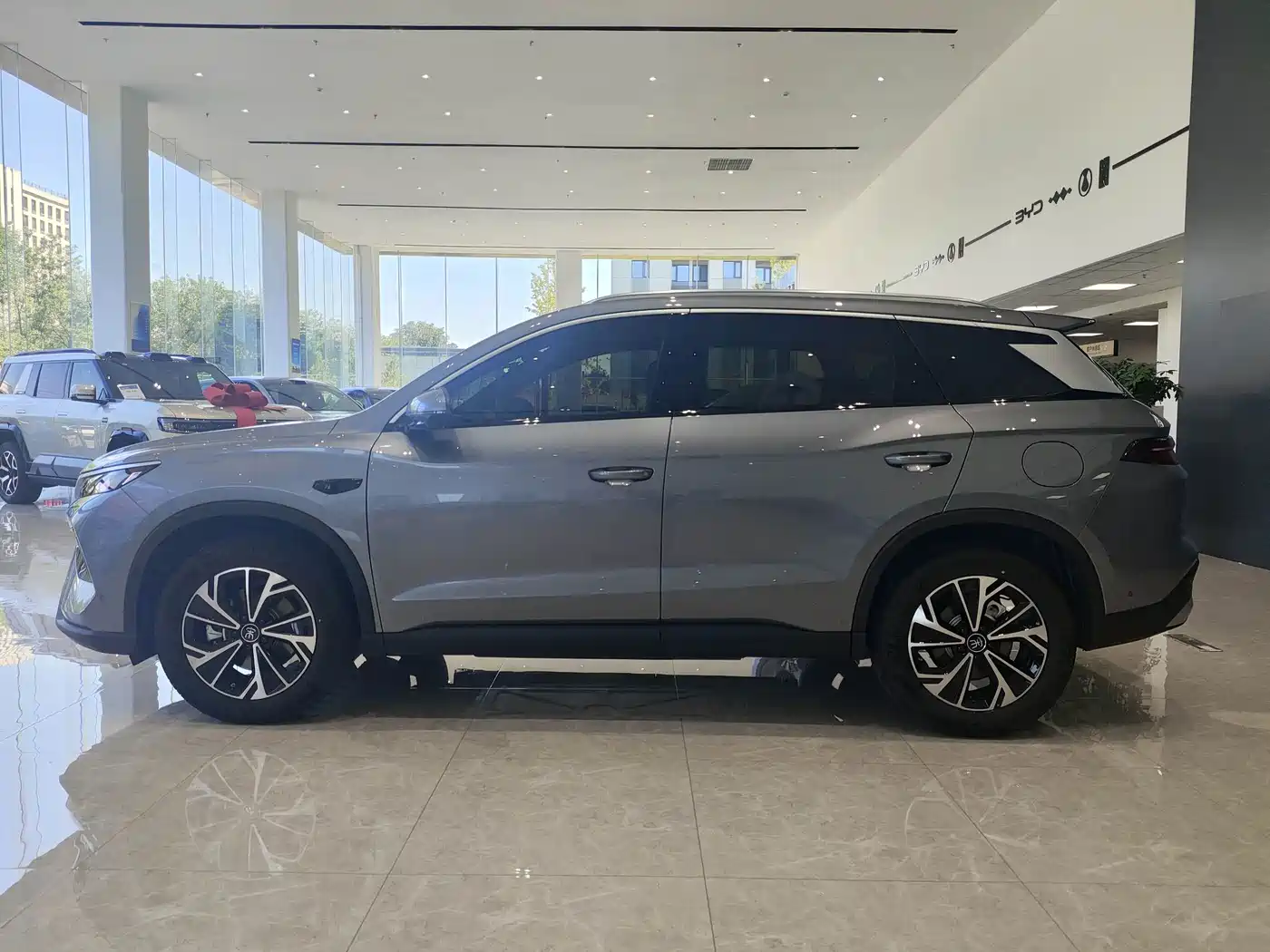 BYD Song Pro New Energy 2026 2026 DM-i Smart Edition 133KM Superior