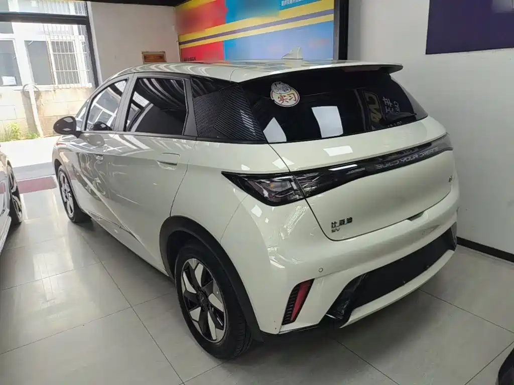 Фото 5 - BYD Dolphin