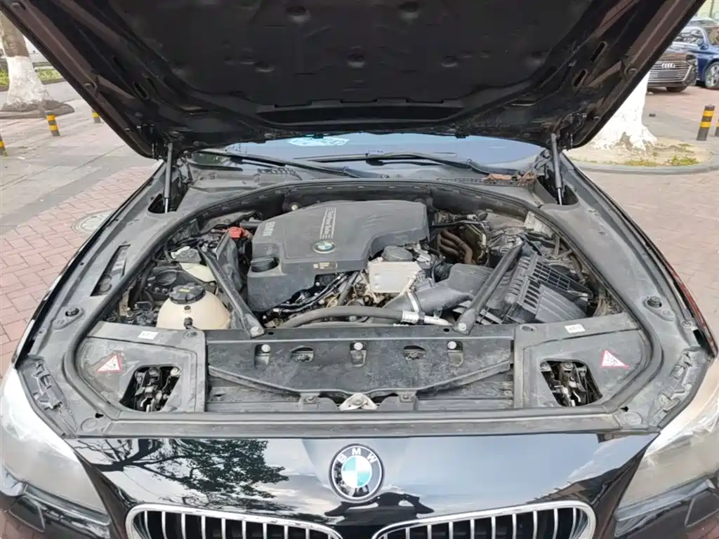 BMW 5 Series 2014 525Li Luxury Design Package фото 20