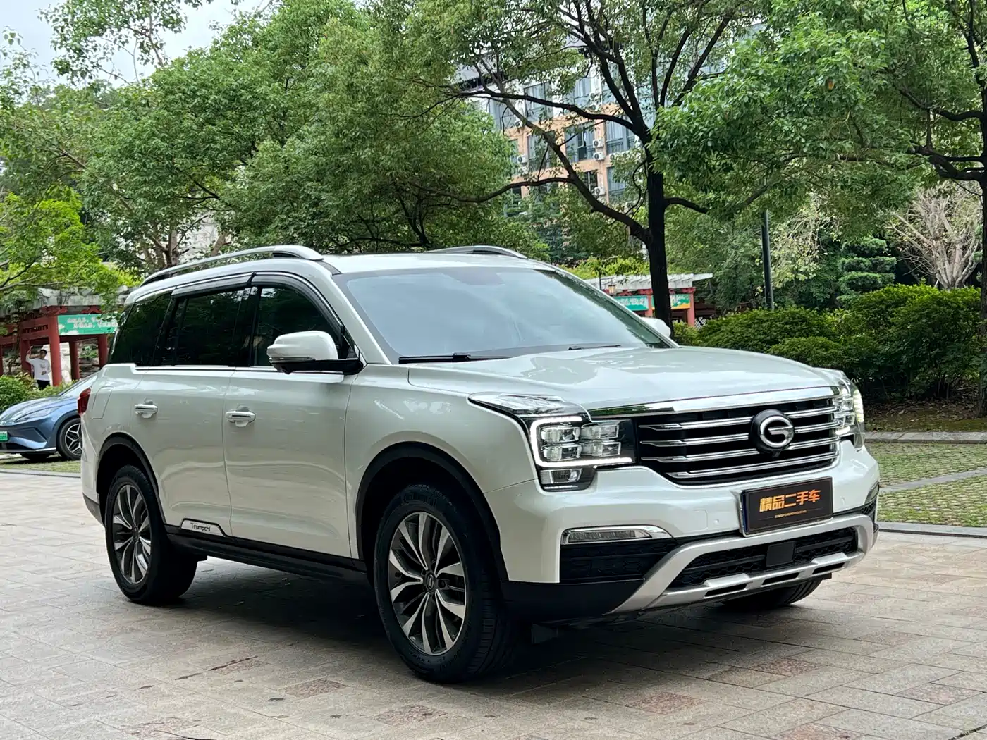GAC Trumpchi Trumpchi GS8 2017 320T 2WD Luxury Smart Connect (7-seater) фото 3