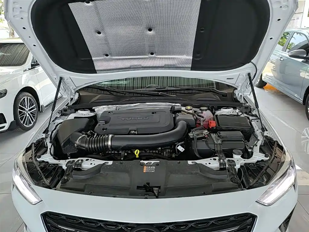 Buick Regal 2025 Model Base Type фото 20