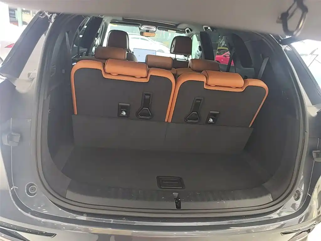 BYD Tang New Energy 2023 Model DM-i Champion Edition 112KM Premium фото 19