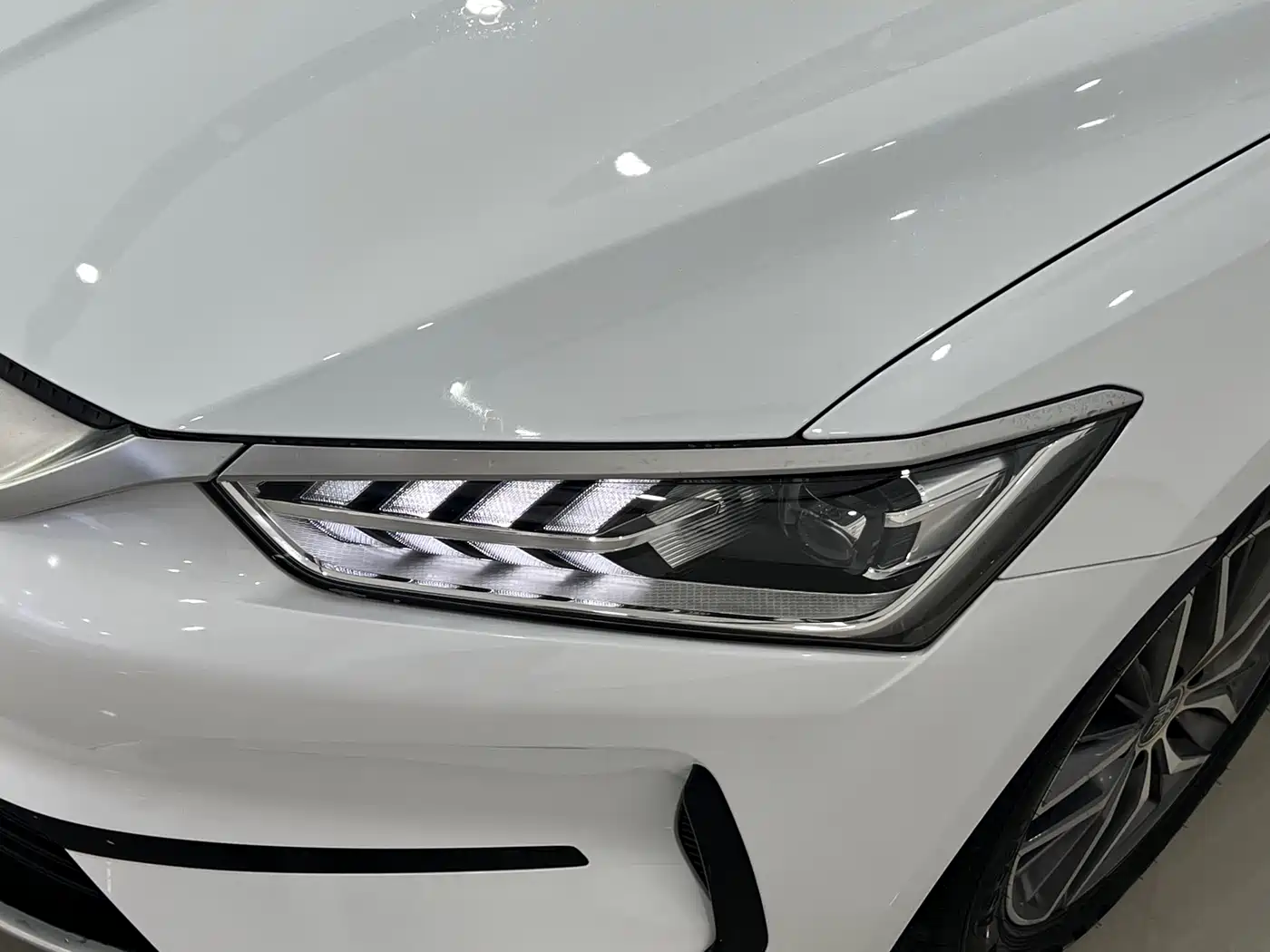 BYD Qin PLUS 2024 Glory Edition EV 510KM Leading фото 3