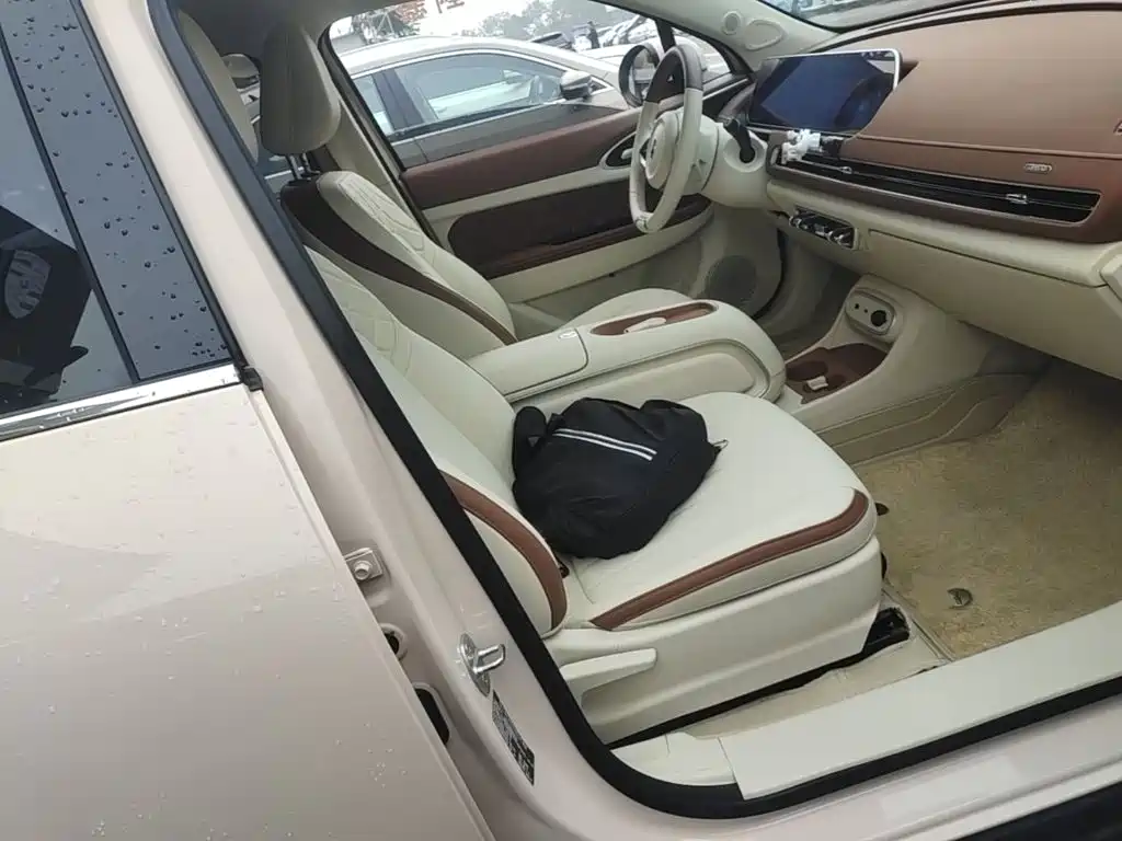 Ora Good Cat 2024 2024 401km Luxury