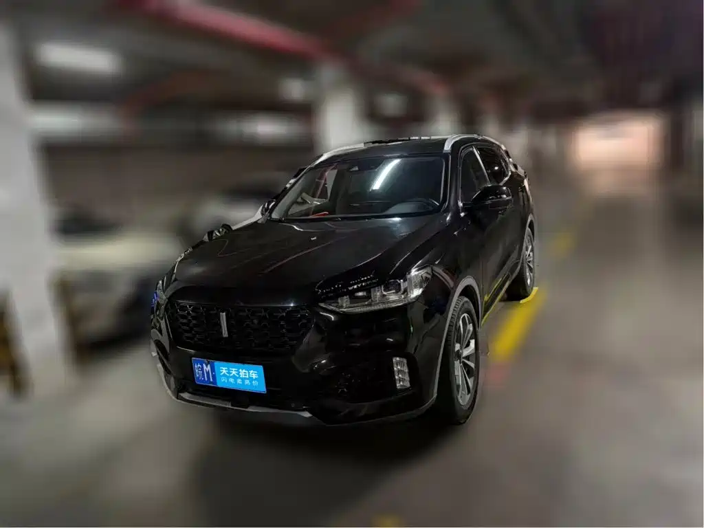 WEY VV6 2018 2.0T 2WD Flagship China V