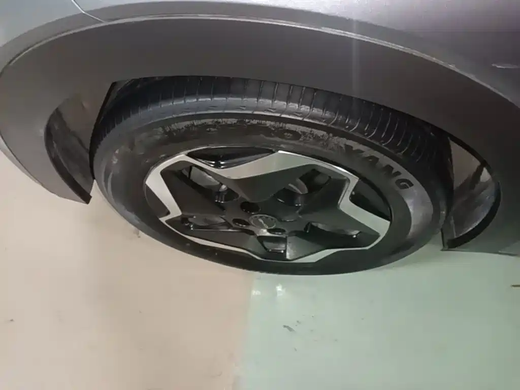 BYD Dolphin 2022 2021 Model 405km Fashion Edition