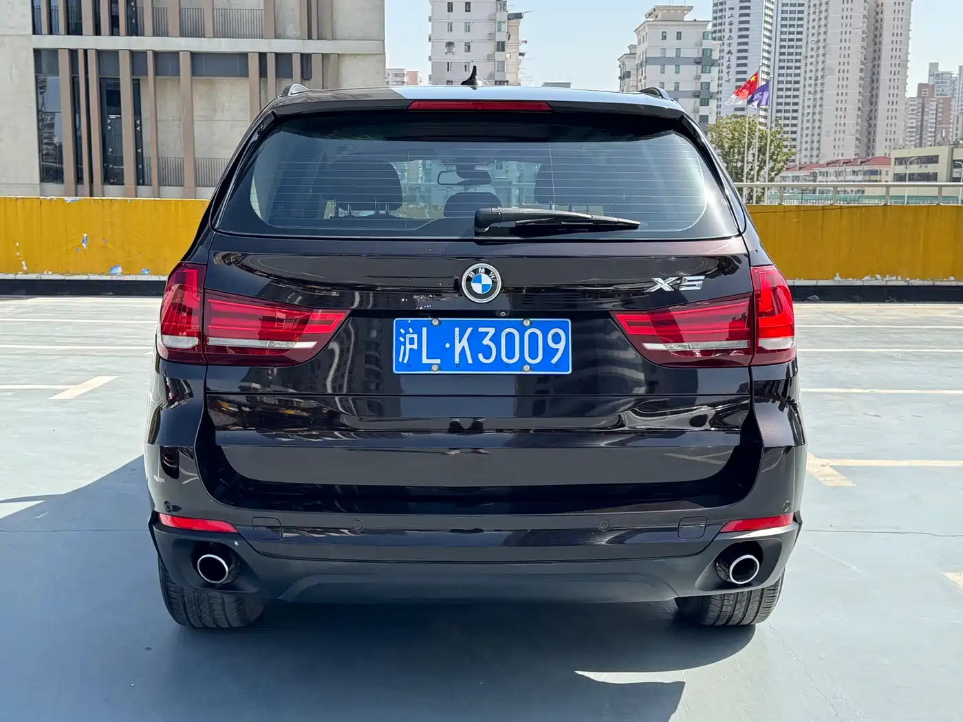 BMW X5 (Import) 2014 xDrive35i Leading фото 4