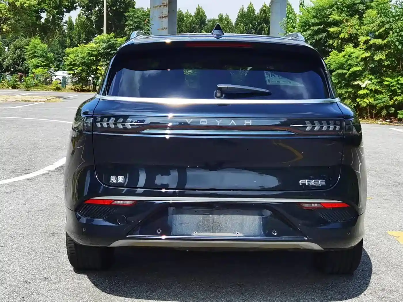 Voyah Auto VOYAH FREE 2021 AWD Standard Pure Electric Exclusive Luxury Package фото 8