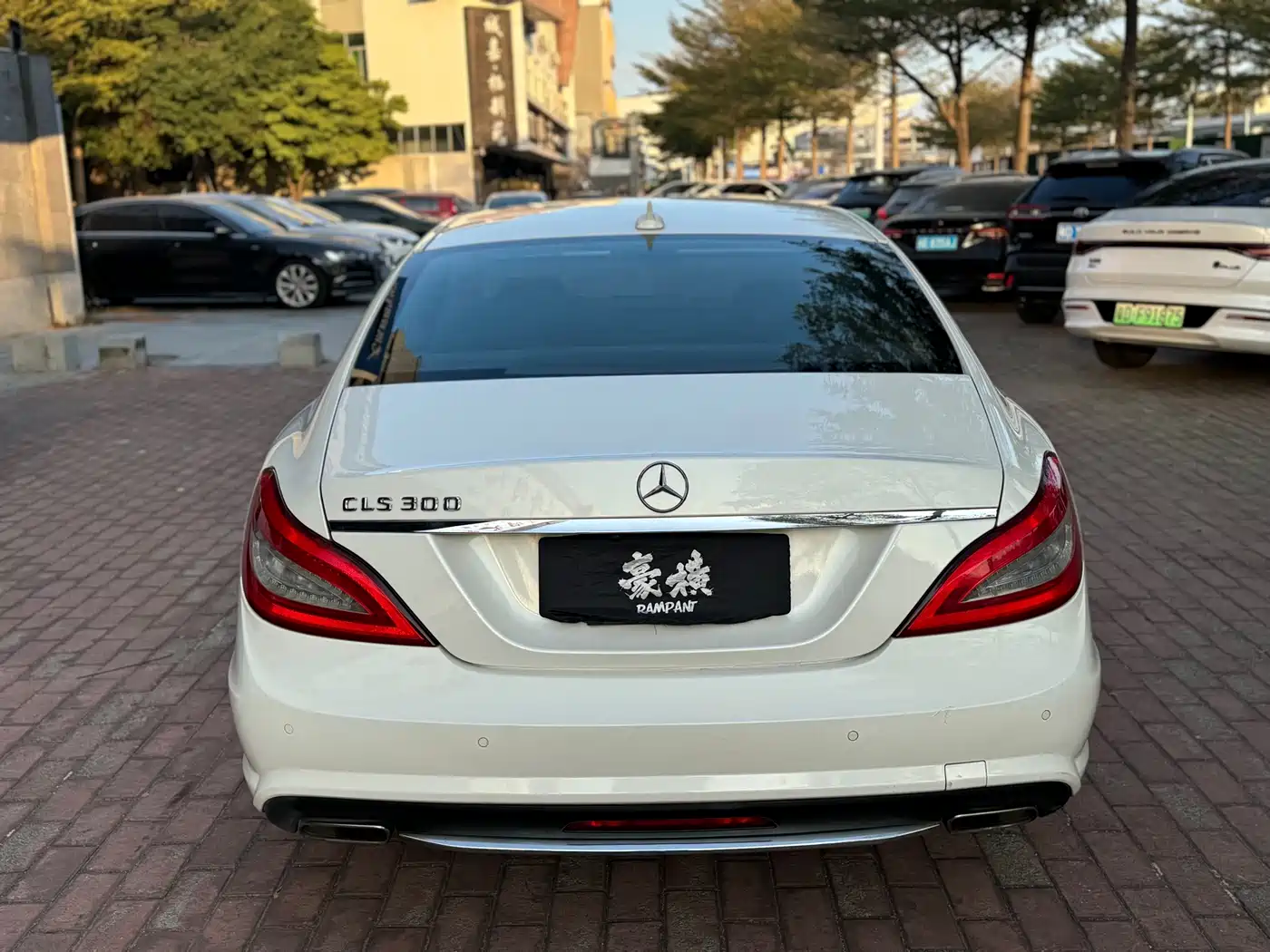 Mercedes-Benz CLS 2012 CLS 300 CGI фото 5