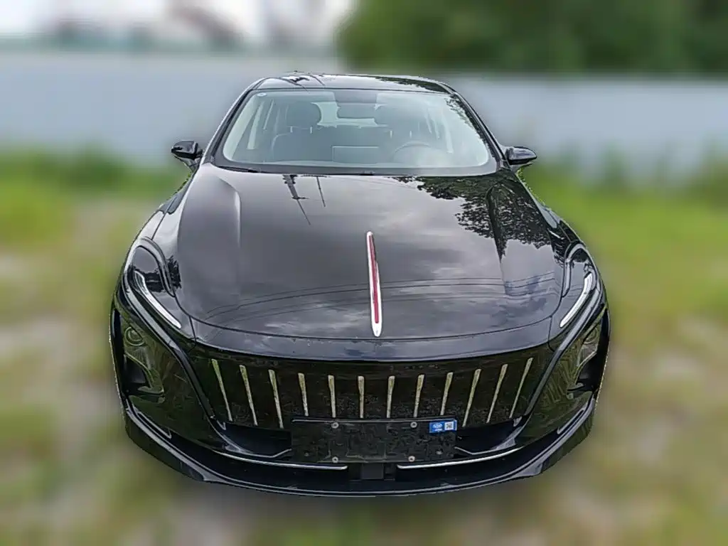 صورة 5 - Hongqi E-QM5