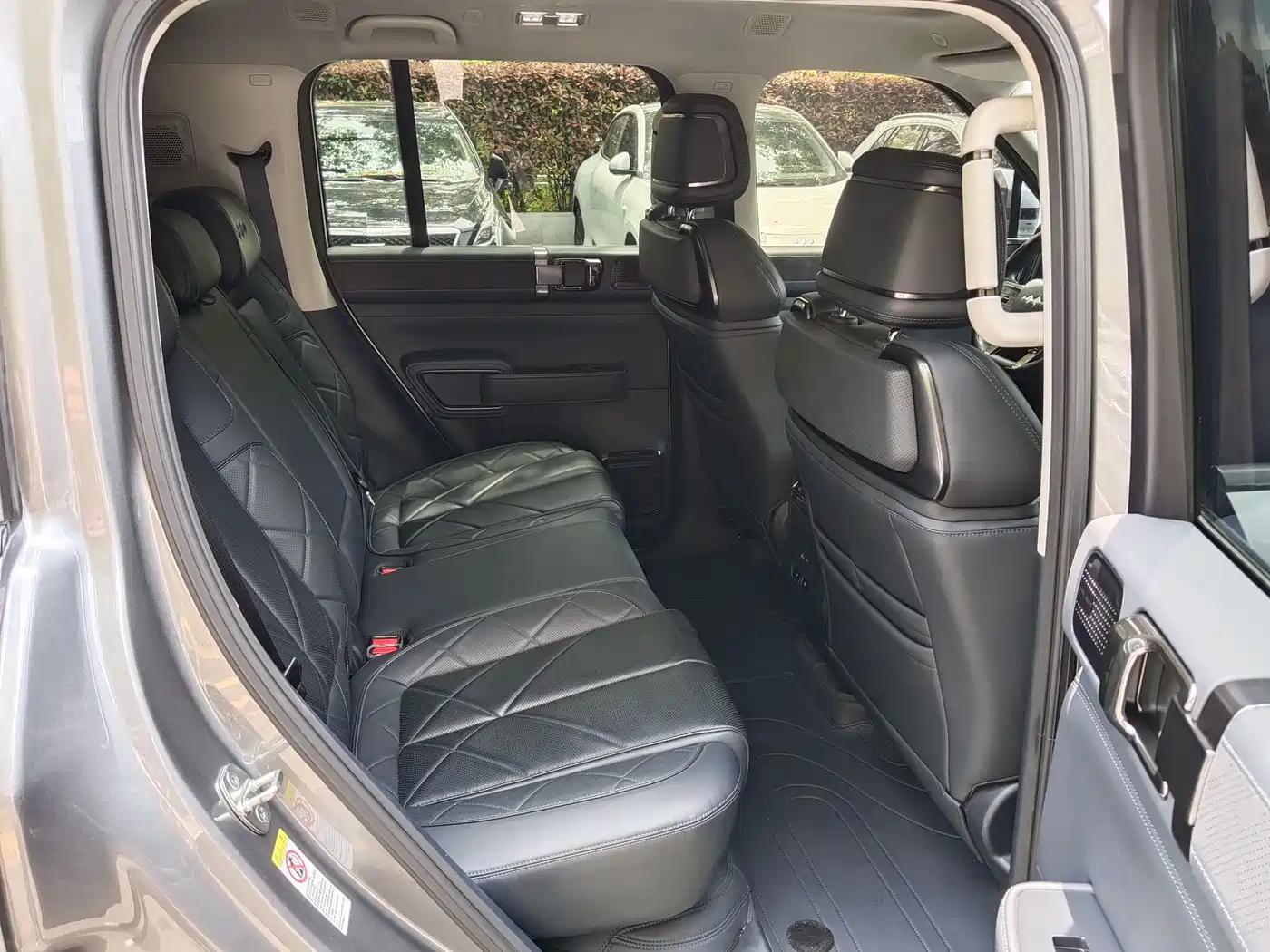 FANG CHENG BAO LEOPARD 5