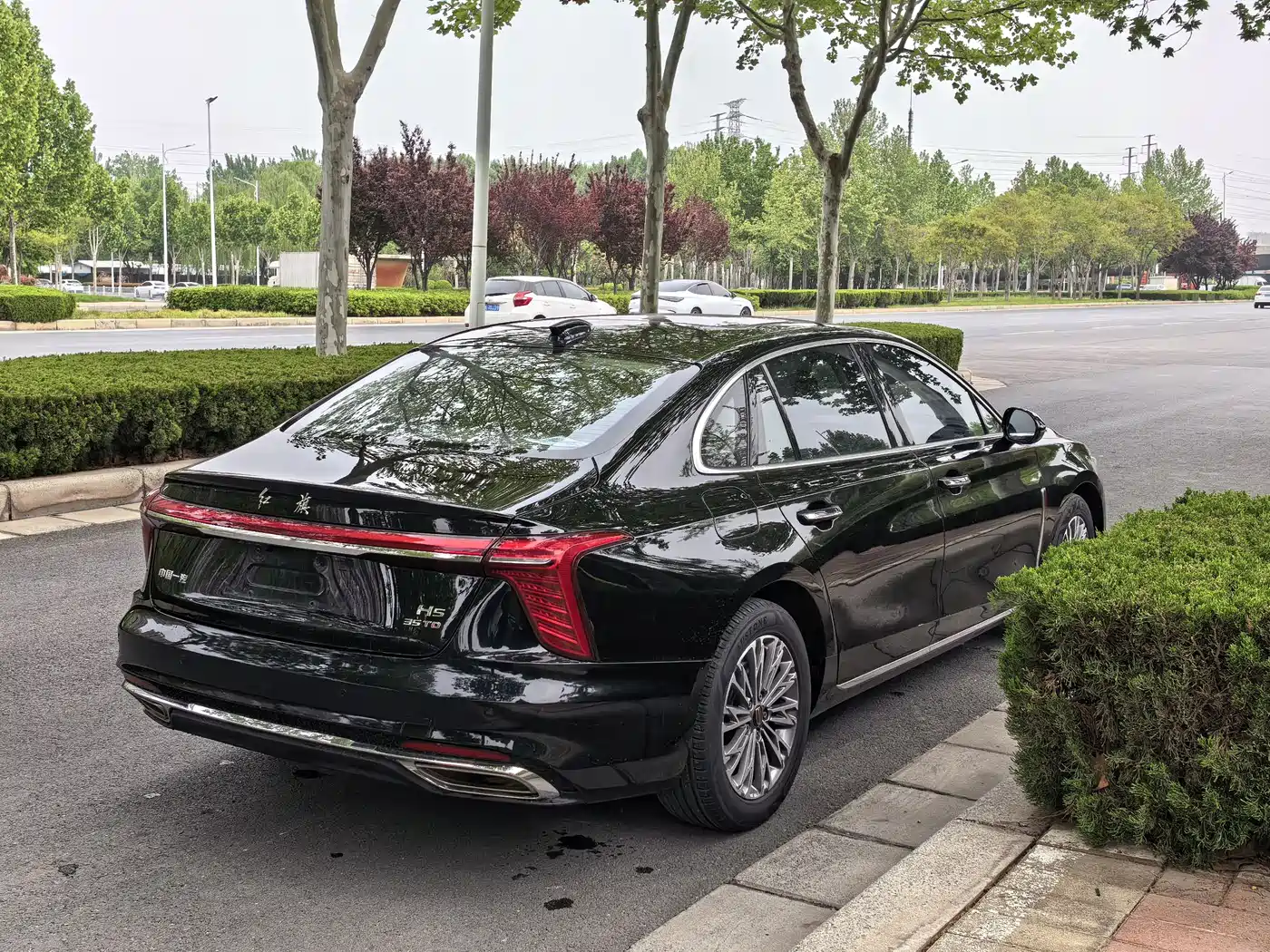Hongqi H5 2024 1.5T DCT Smart Connect Flag Rhythm Edition фото 4