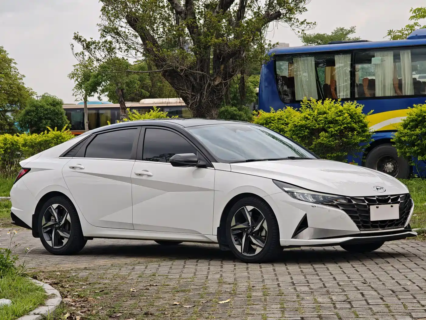 Hyundai Elantra 2022 1.5L CVT LUX Premium Edition фото 3