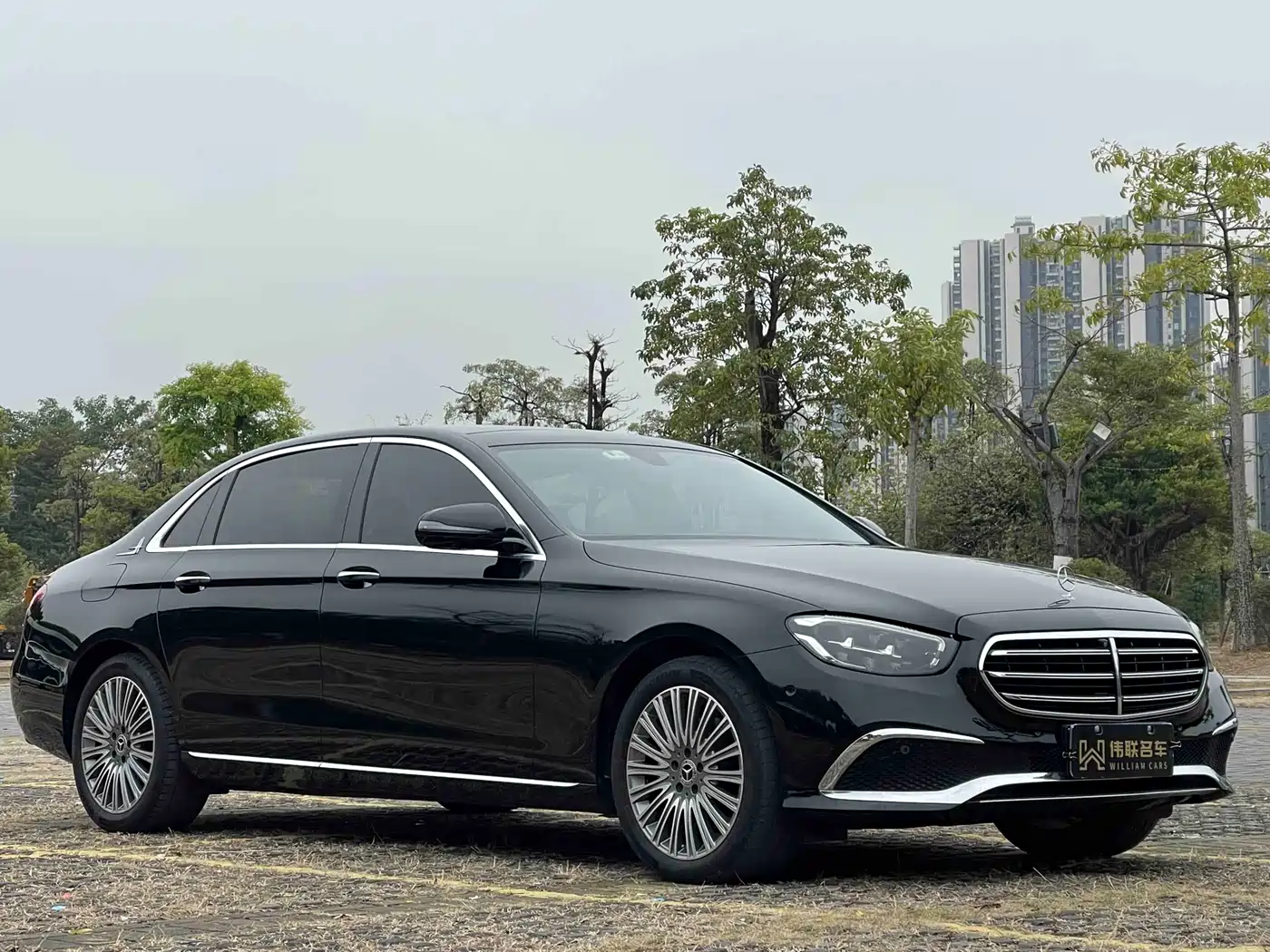 Mercedes-Benz E-Class 2021 E 300 L Luxury фото 3
