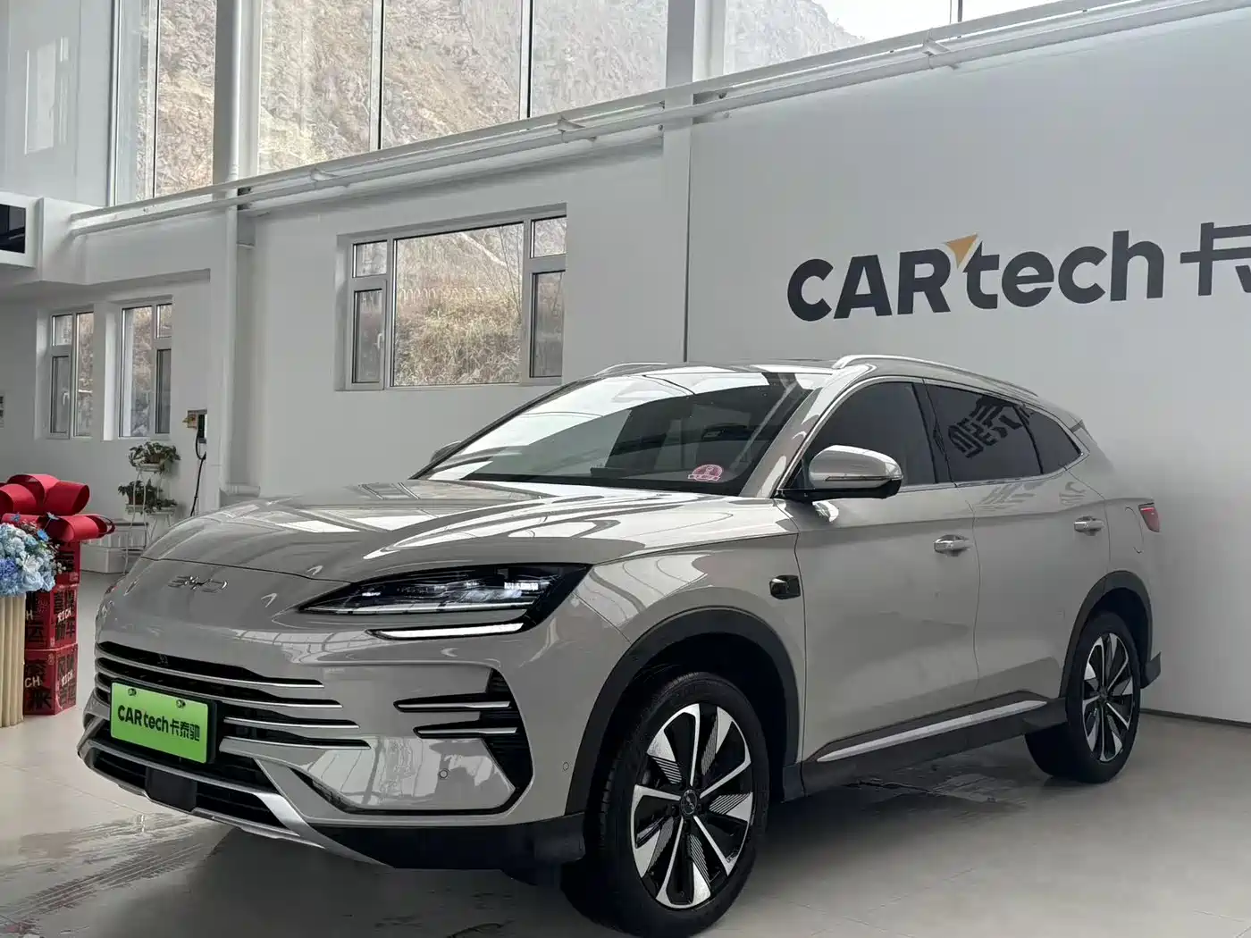 BYD SONGJIANG NEW ENERGY