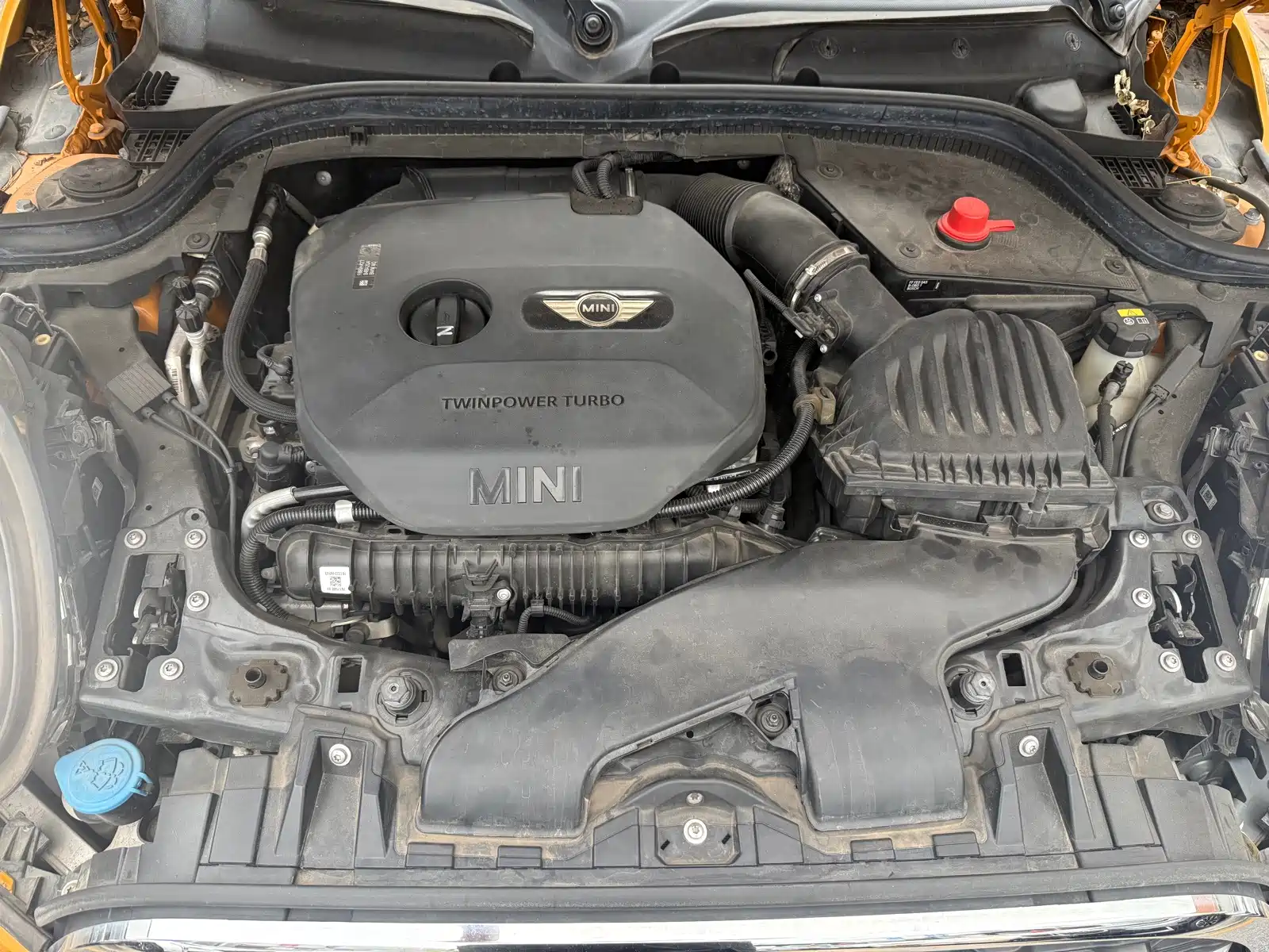 Фото 8 - MINI MINI