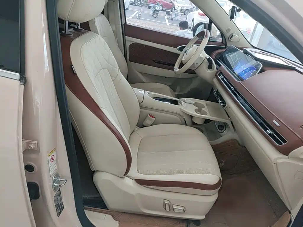 Ora Good Cat 2023 2023 401km Standard Range Honor Edition (LFP)