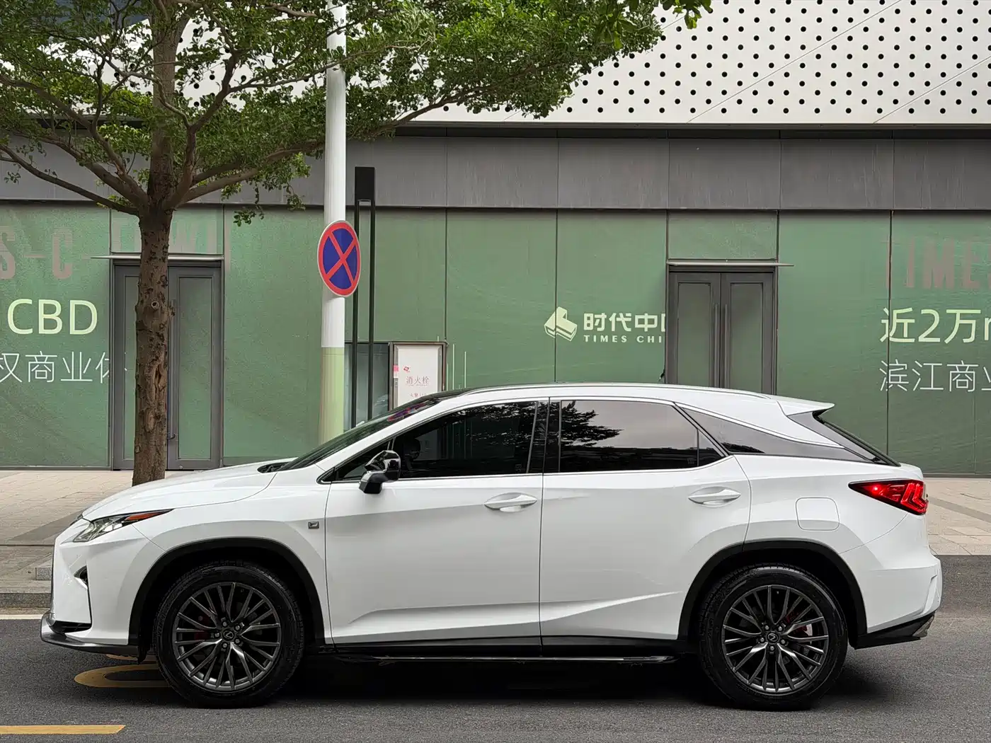 Lexus RX 2016 300 AWD F SPORT Edition China V фото 19