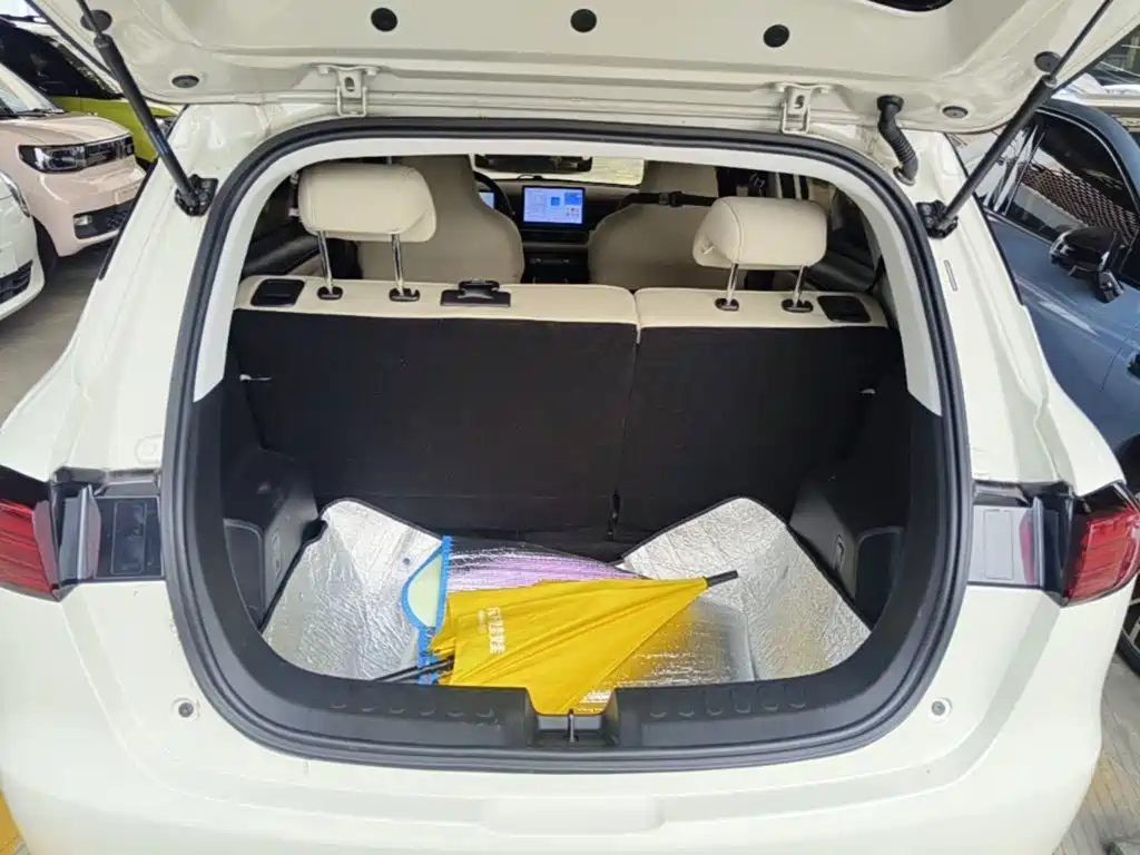 Wuling Motors Wuling Binguo PLUS 2025 2024 510km Range 5-seater